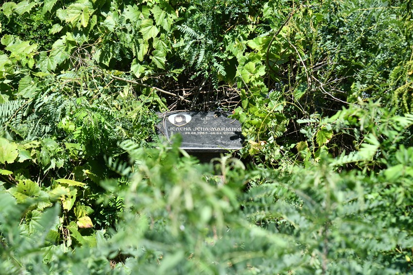 Jelena Marjanović  zarasla spomen ploča