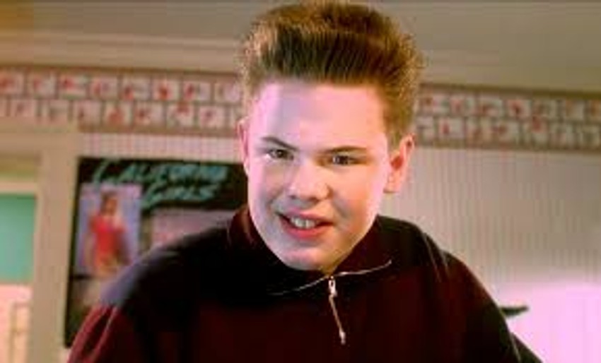 Baz u filmu "Sam u kući"