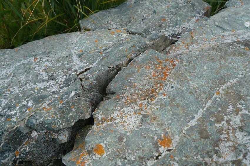 Stene duž reke Čilkut na Aljasci u avgustu 2019.