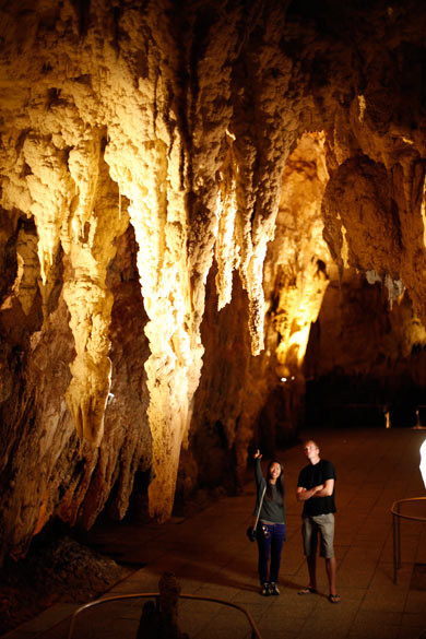 Waitomo Glowworm Caves - jaskinie świecących robaczków
