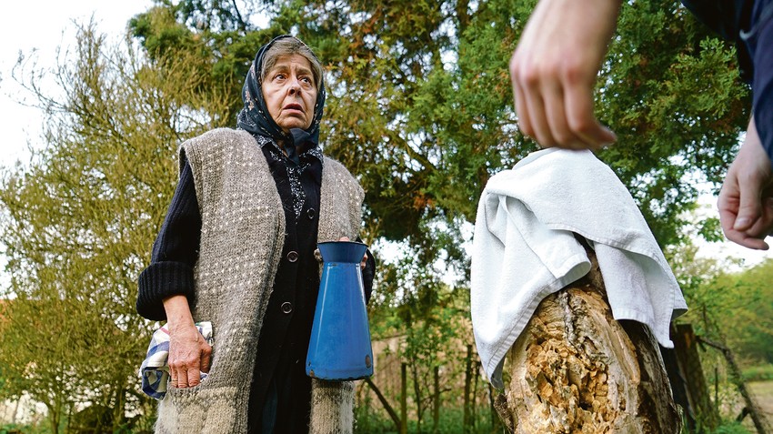 Psi laju vetar nosi  - Svetlana Bojković