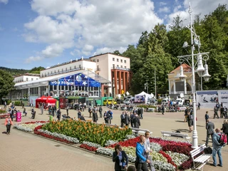 krynica