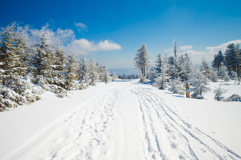 Szczyrk Kompleks w Szczyrku i okolicach to nadal numer jeden w Polsce biorąc pod uwagę łączną długość oferowanych tras. Narciarze i fani snowboardu mają tu do dyspozycji łącznie prawie 37 kilometrów różnych odcinków - zdecydowana większość, bo ponad 22 km, to trasy nie wymagające zaawansowanych umiejętności. Dla średnio zaawansowanych od grudnia do marca czeka prawie 10 km tras. Dla potrafiących już sporo są 4 km. W sumie pracuje tu 11 wyciągów. Baza noclegowa bardzo rozbudowana (ośrodki wypoczynkowe, pensjonaty, domy gościnne, kwatery i apartamenty).