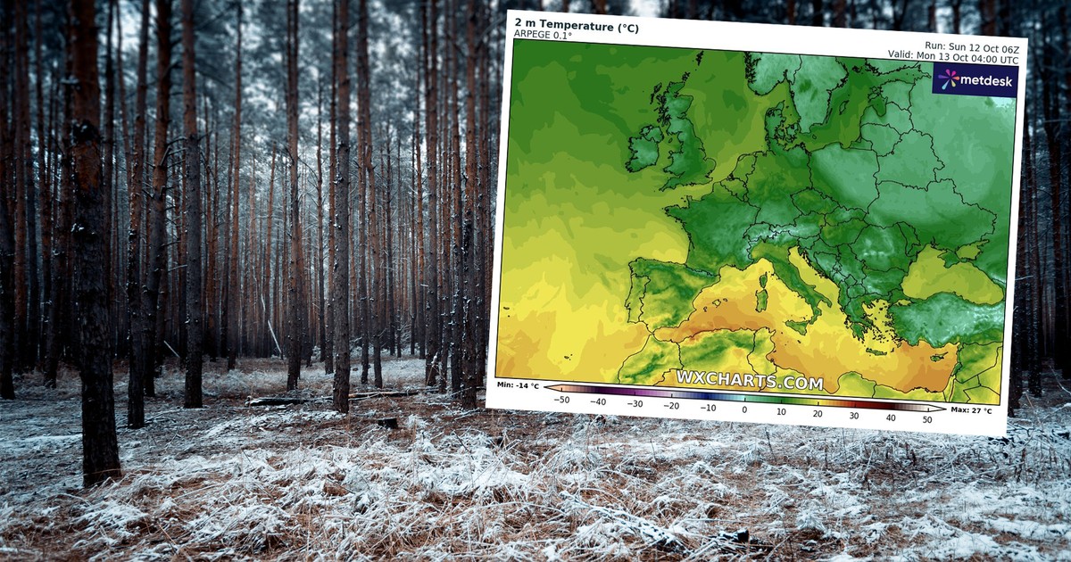 Koniec sezonu grzybowego? Gwałtowna zmiana w pogodzie. Zacznie się niebawem