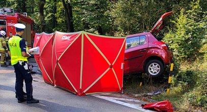 Tragedia pod Gdańskiem. Starsze małżeństwo uderzyło autem w betonowy krąg. Oboje zginęli