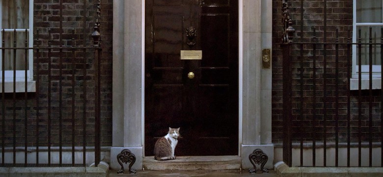 Kot Larry obchodzi 10. rocznicę pracy na Downing Street