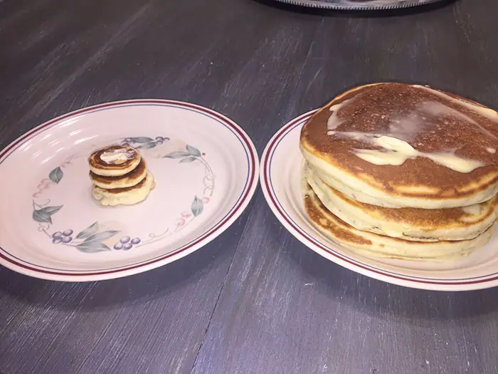 tiny-kitten-pancakes-8