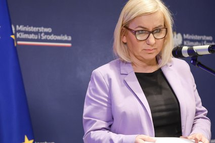 Minister klimatu o nowych cenach prądu. "Akceptowalne prawie dla wszystkich"