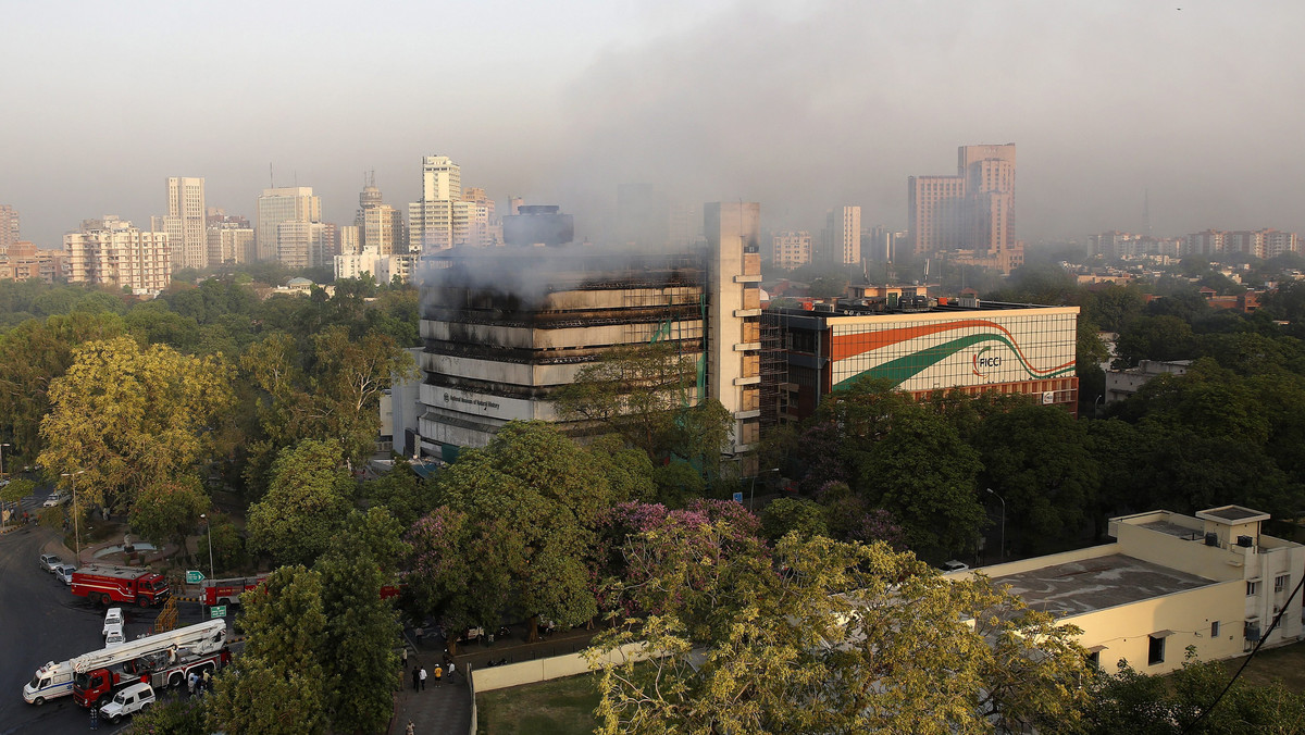 INDIA FIRE  (Fire broke out in the National Museum of Natural History in New Delhi)