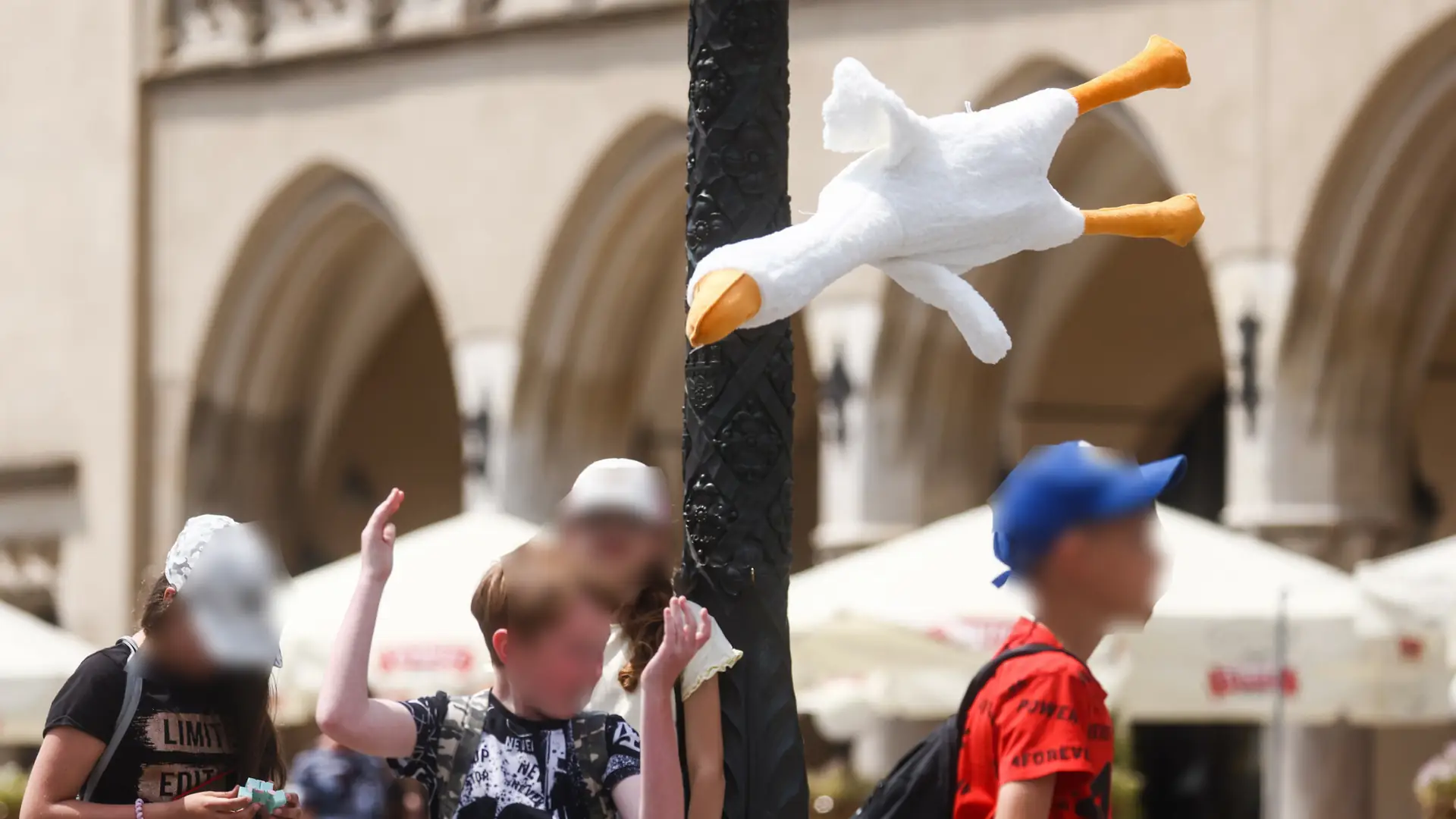 UOKiK ostrzega przed gęsią Pipą. Pisze, na co zwrócić uwagę