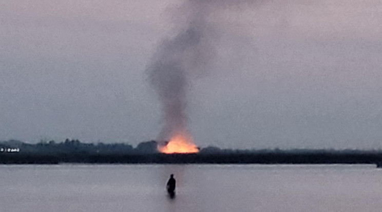 Hatalmas a tűz tombol a Velencei-tó partján / Fotó: Győri Krisztina 