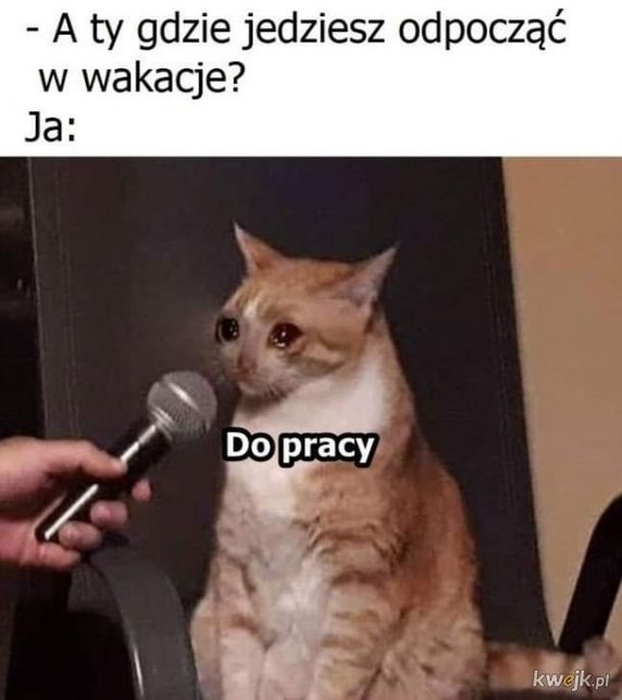 Najlepsze memy tygodnia