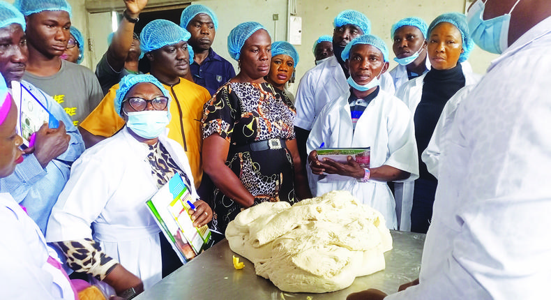 FG trains 60 master bakers on use of cassava flour in Edo/Photo used for the purpose of illustration. [TheGuardian]