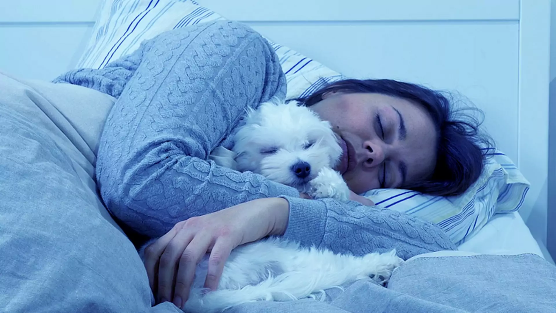 Faceci nie będą zachwyceni. Badania pokazują, że kobiety wolą spać z psami niż ze swoimi partnerami