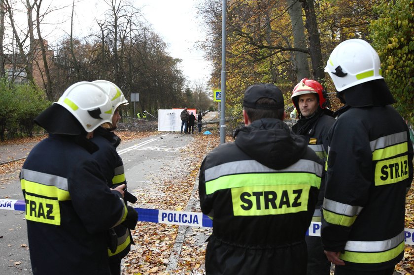 W Sopocie drzewo przygniotło matkę i córkę