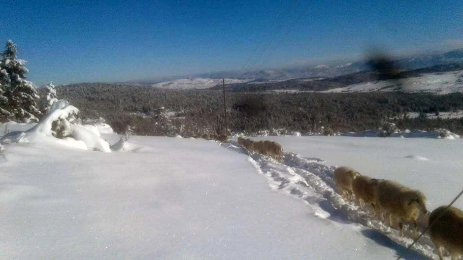 Zavejan put preko Jabuke