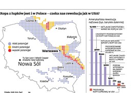 W złożach miedzi odnaleziono łupkową ropę. Czy Polska uniezależni się od dostaw z Rosji?