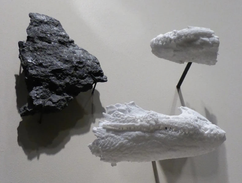 Fosilni ostaci Malene