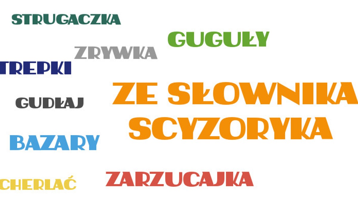 Bazary, Sienkiewka i strugaczka. Zdaniem mieszkańców stolicy regionu świętokrzyskiego to najpopularniejsze kieleckie słowa. W majowym plebiscycie, organizowanym przez Instytut Dizajnu w Kielcach, udział wzięło blisko 1400 osób. Wybrane przez internautów zwroty trafią do Niemapy Kielc, czyki nietypowego ilustrowanego przewodnika.