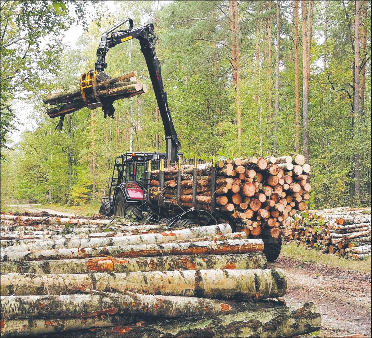 Nowy projekt nowelizacji ustawy o lasach wciąż budzi kontrowersje