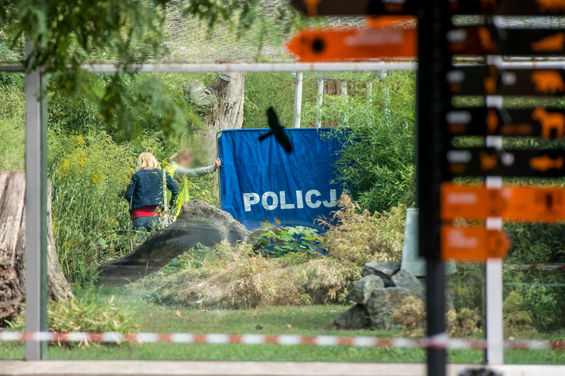 Doświadczony pracownik ogrodu został zabity przez tygrysa.