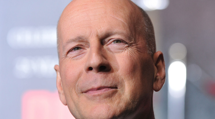 Bruce Willis afázia miatt adta fel a színészi pályáját  Fotó: Northfoto