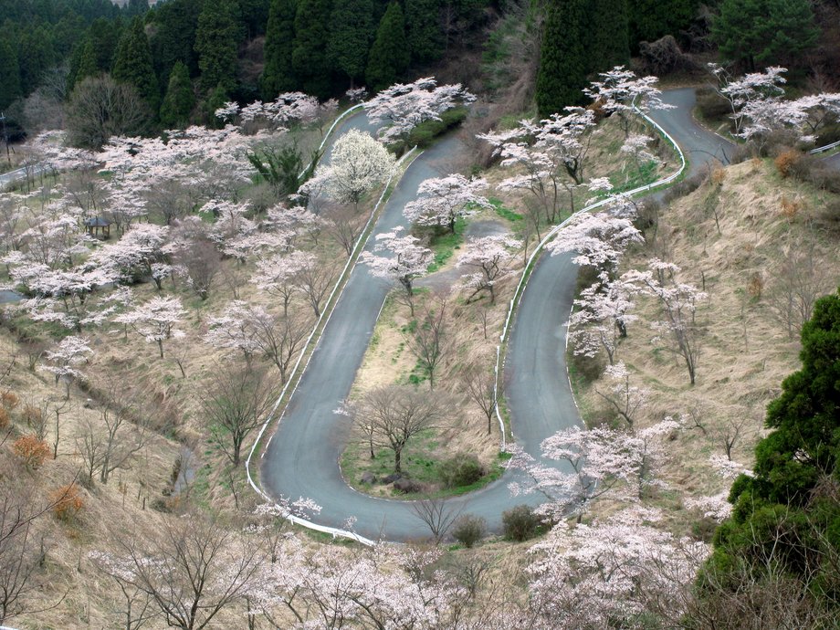 Ulubiona droga dla odważnych to Droga Touge w Japonii. Prowadzi do malowniczego Mount Fuji, gdzie znajduje się aktywny wulkan i najwyższy szczyt w kraju.