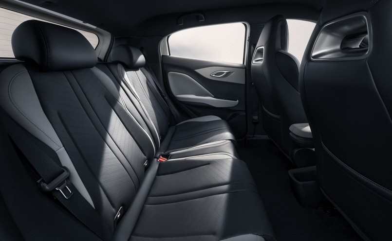 BYD Dophin Surf