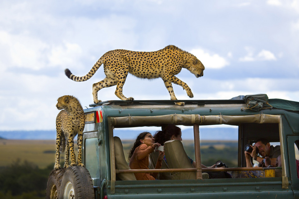 III miejsce - Say cheese (pol. Uśmiech proszę) - Yanai Bonneh/National Geographic Traveler Photo Contest