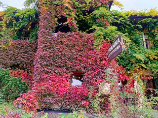 zdjęcie wykonane telefonem Infinix NOTE 12 PRO