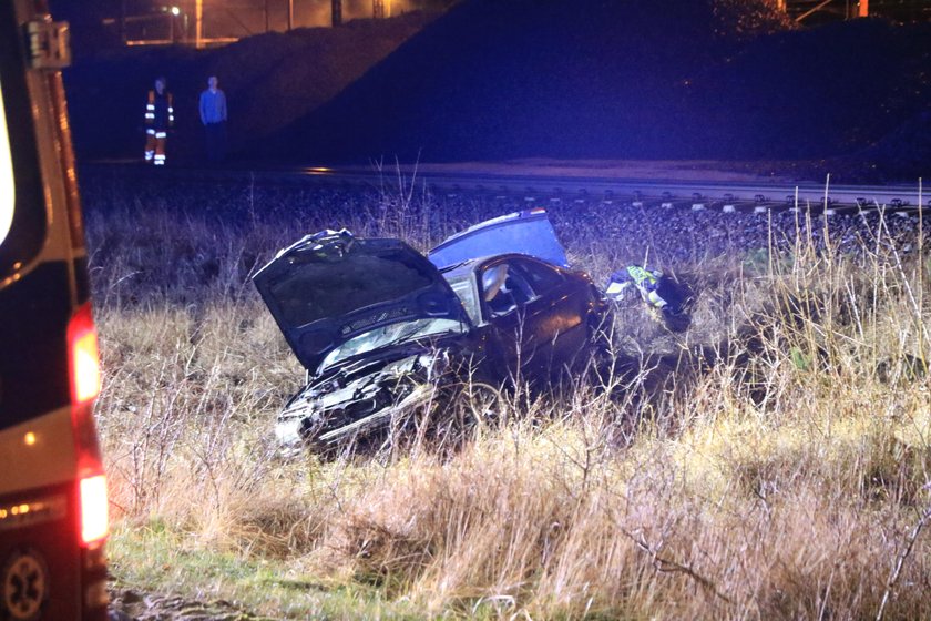 Świnoujście: Jechali do pracy, przed auto wyskoczył dzik. 1 osoba nie żyje