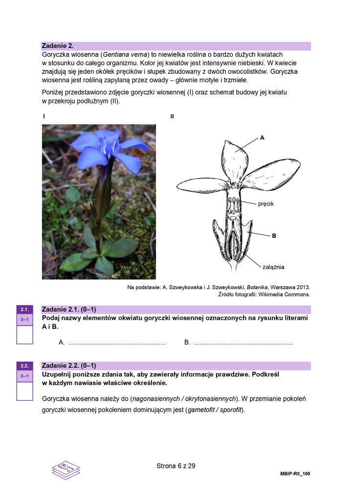 Matura z biologii 2023 - arkusze egzaminacyjne — poziom rozszerzony