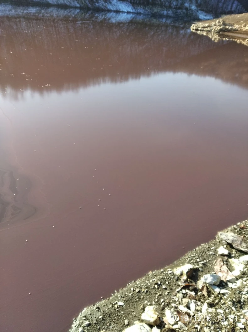 Nizak vodostaj jezera i topla jesen su uslovili cvetanje Vrutaka