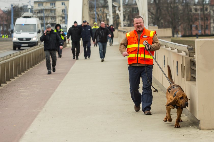 Psy tropiące z Niemiec szukały zaginionej Ewy Tylman