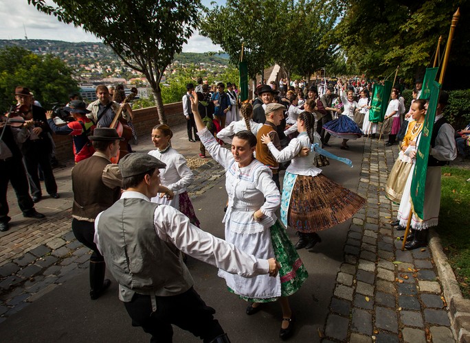 Festiwal Wina i Szampana w Budapeszcie