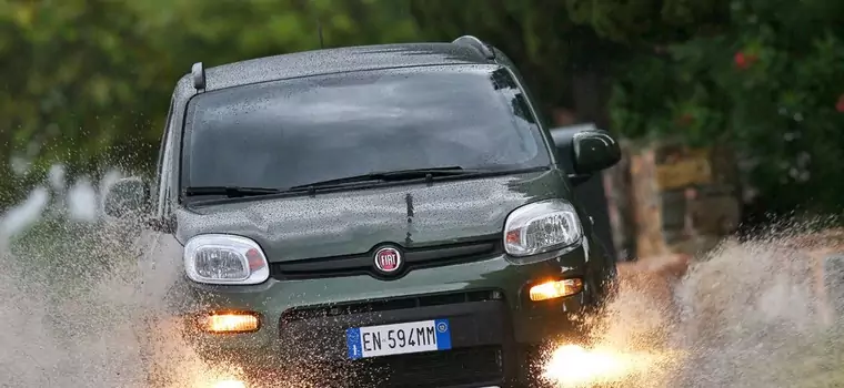 Fiat Panda 4x4 za 59 990 zł