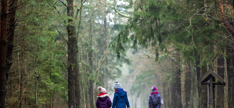 Wicemarszałek Sejmu: Polacy muszą się dowiedzieć, że warto tu przyjeżdżać