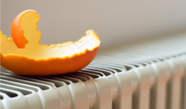 Kora od mandarine na radiajtoru