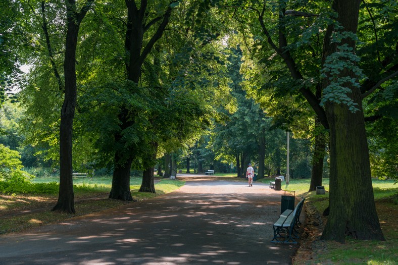 Park Skaryszewski