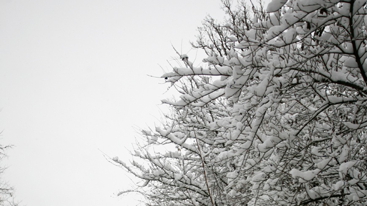 Dzisiaj i jutro nad Polską nadal będzie duże zachmurzenie. Miejscami na północy i zachodzie kraju popada śnieg. W nocy pojawią się także niebezpieczne mgły osadzające szadź i ograniczające widoczność.