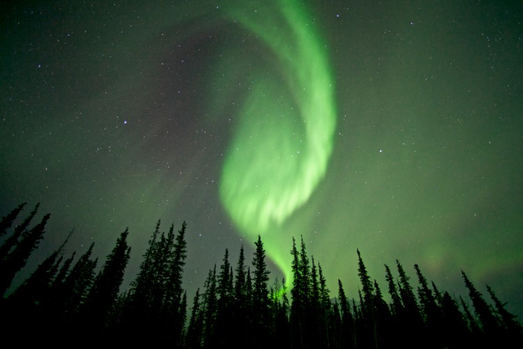 'Dzika Ameryka'. Zdjęcia z nowego serialu Discovery Channel