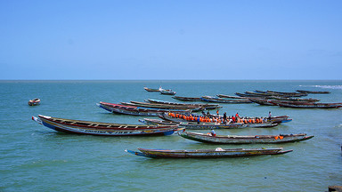 Gambia, no problem; Senegal, my friend - plaże, przyroda, egzotyka i życie