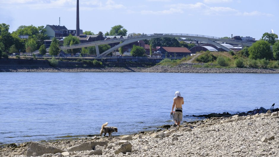 Mężczyzna nad brzegiem Renu, Kolonia, 3.08.2022