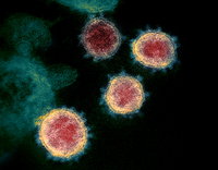 Az emberek egy része már immunis lehet a koronavírusra – állítja egy friss kutatás