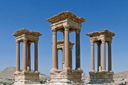 Palmyra