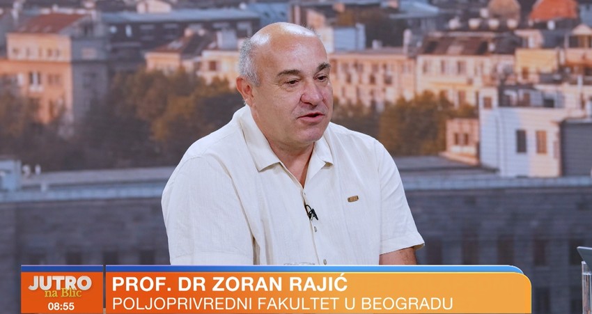 Zoran Rajić