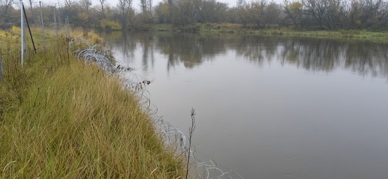 Miał chronić granice, a zabił dziesiątki zwierząt. Szokujący raport o concertinie