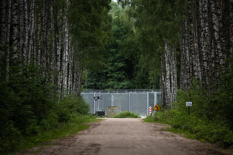 Przez taki mur skaczą uchodźcy, Białowieża, sierpień 2022 r.