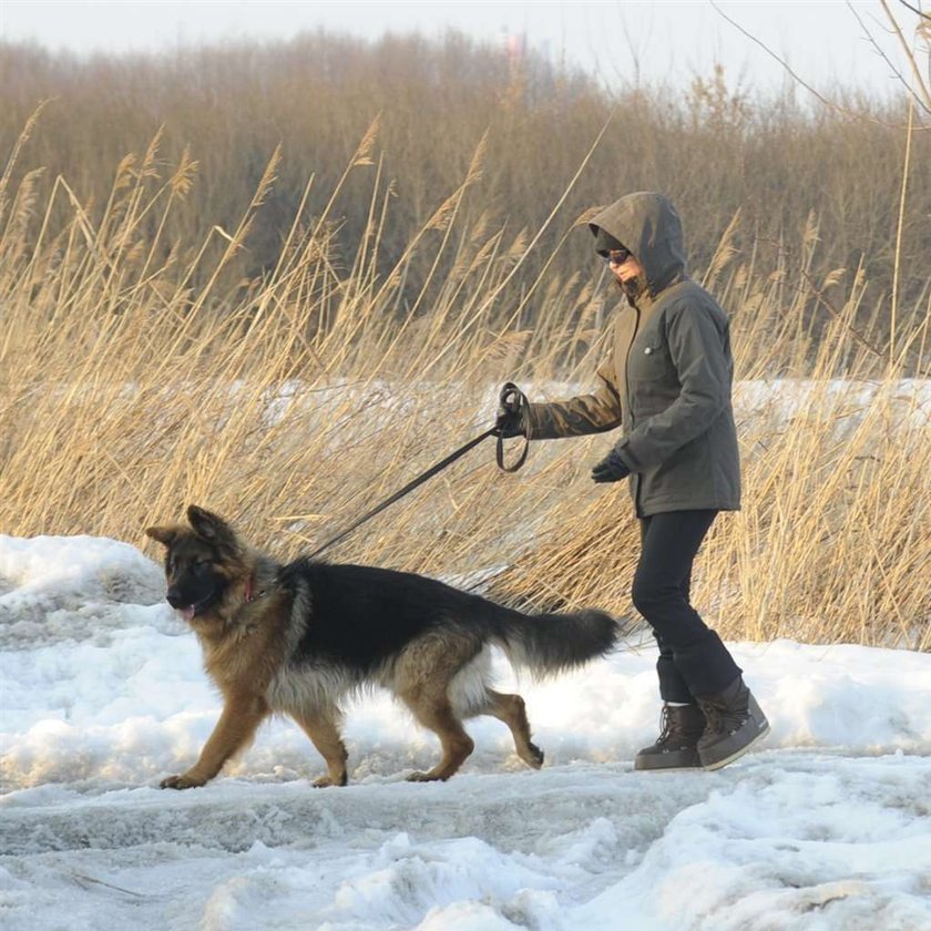 Kwaśniewscy. Cztery osoby wyprowadzają ich psy