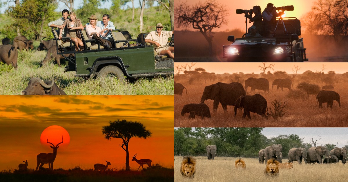 South Africa records tourism boom, defying US and UK travel warnings as jobs near 1 million